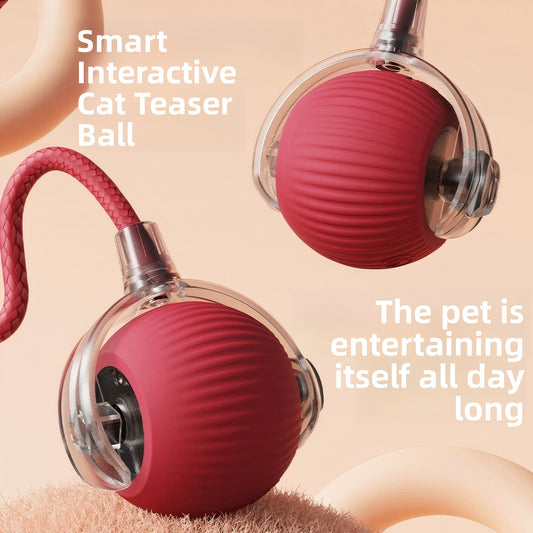 Self Play Cat Toy Ball with Rope