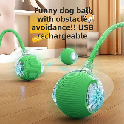Self Play Cat Toy Ball with Rope