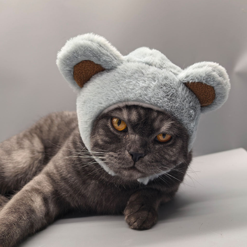 Cat Dress Up Hat