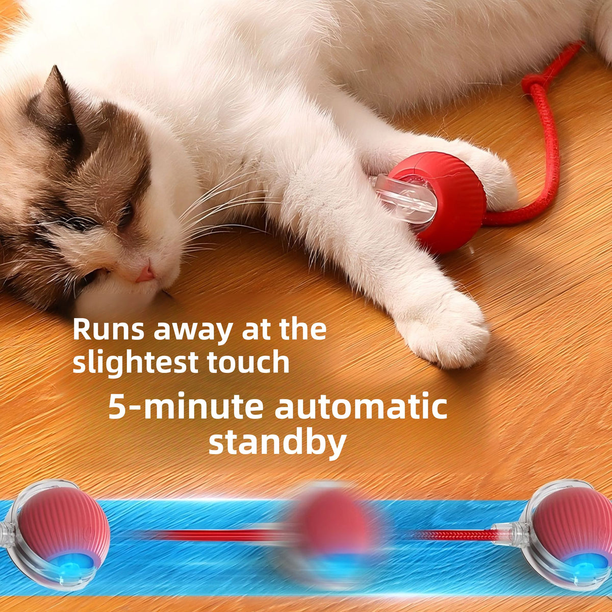 Self Play Cat Toy Ball with Rope
