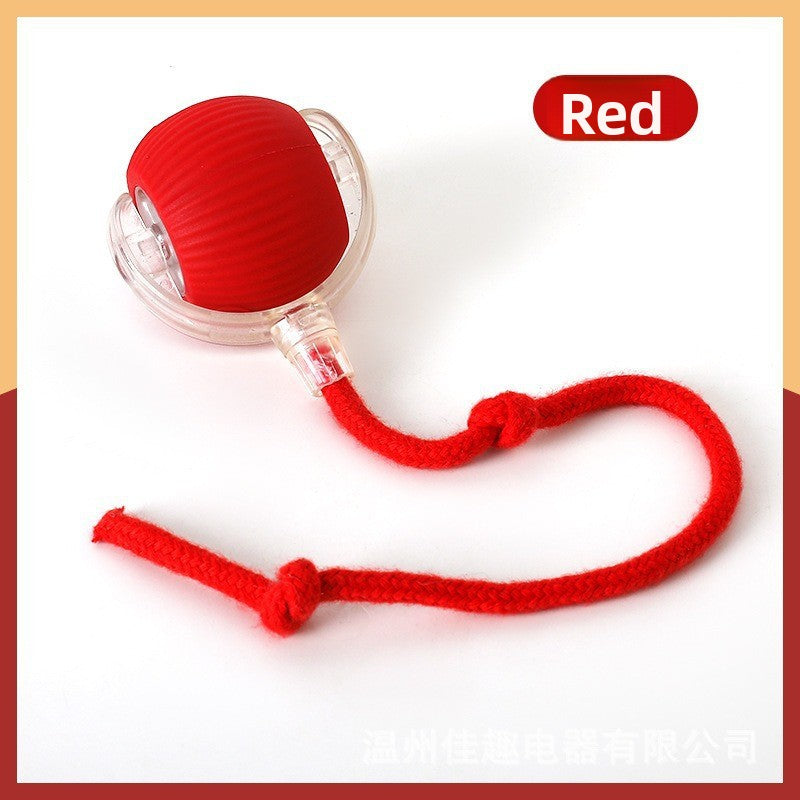 Self Play Cat Toy Ball with Rope