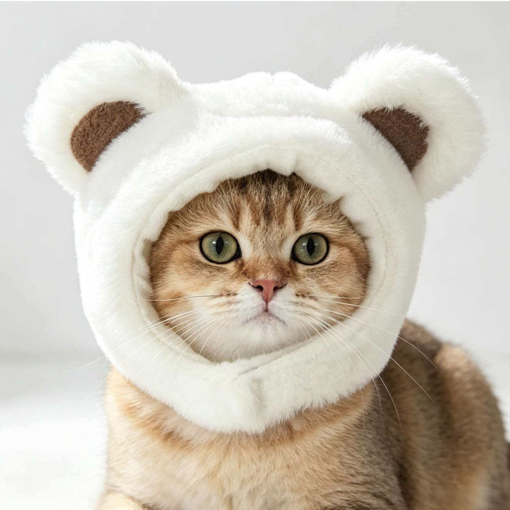 Cat Dress Up Hat